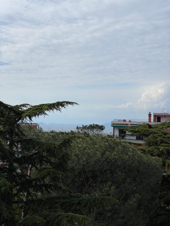 Sorrento Inn Lodge Εξωτερικό φωτογραφία